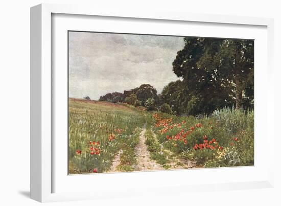 Path in Poppy Field-null-Framed Art Print