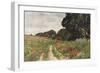 Path in Poppy Field-null-Framed Art Print