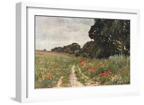 Path in Poppy Field-null-Framed Art Print