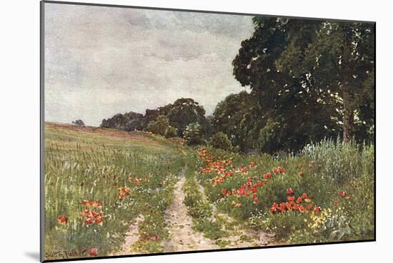 Path in Poppy Field-null-Mounted Art Print