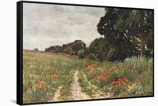 Path in Poppy Field-null-Framed Stretched Canvas