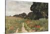 Path in Poppy Field-null-Stretched Canvas