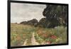 Path in Poppy Field-null-Framed Art Print