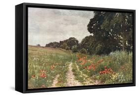 Path in Poppy Field-null-Framed Stretched Canvas