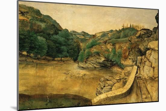 Path in the Alps, C, 14955-Albrecht Dürer-Mounted Giclee Print