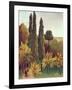 Path in the Buttes Chaumont Park, Paris, 1908-Henri Rousseau-Framed Giclee Print