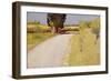 Path in the Country, C.1886-Charles Angrand-Framed Giclee Print