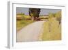 Path in the Country, C.1886-Charles Angrand-Framed Giclee Print