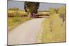 Path in the Country, C.1886-Charles Angrand-Mounted Giclee Print