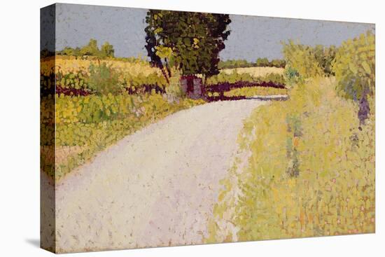 Path in the Country, C.1886-Charles Angrand-Stretched Canvas
