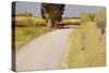 Path in the Country, C.1886-Charles Angrand-Stretched Canvas