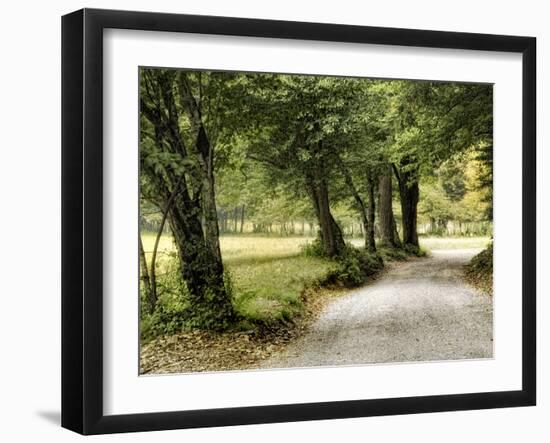 Path in the Country-Danny Head-Framed Photographic Print