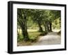 Path in the Country-Danny Head-Framed Photographic Print