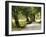 Path in the Country-Danny Head-Framed Photographic Print