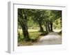 Path in the Country-Danny Head-Framed Photographic Print