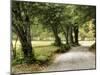 Path in the Country-Danny Head-Mounted Photographic Print