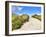 Path in the Dunes Going to the Seaside-Chantal de Bruijne-Framed Photographic Print