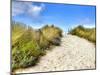 Path in the Dunes Going to the Seaside-Chantal de Bruijne-Mounted Photographic Print