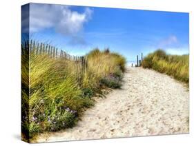 Path in the Dunes Going to the Seaside-Chantal de Bruijne-Stretched Canvas