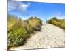 Path in the Dunes Going to the Seaside-Chantal de Bruijne-Mounted Photographic Print