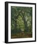 Path in the Forest, 1864-Henri Joseph Constant Dutilleux-Framed Giclee Print