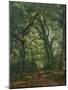 Path in the Forest, 1864-Henri Joseph Constant Dutilleux-Mounted Giclee Print