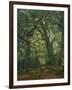 Path in the Forest, 1864-Henri Joseph Constant Dutilleux-Framed Giclee Print