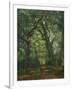 Path in the Forest, 1864-Henri Joseph Constant Dutilleux-Framed Giclee Print