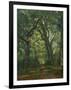 Path in the Forest, 1864-Henri Joseph Constant Dutilleux-Framed Giclee Print