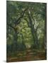 Path in the Forest, 1864-Henri Joseph Constant Dutilleux-Mounted Giclee Print