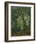 Path in the Forest, 1864-Henri Joseph Constant Dutilleux-Framed Giclee Print