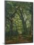 Path in the Forest, 1864-Henri Joseph Constant Dutilleux-Mounted Giclee Print