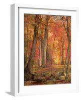 Path in the Forest, 1865-William Trost Richards-Framed Giclee Print