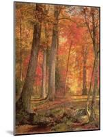 Path in the Forest, 1865-William Trost Richards-Mounted Giclee Print