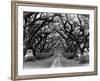 Path In The Oaks #2, Louisiana-Monte Nagler-Framed Photographic Print