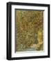 Path in the Woods, 1887-Vincent van Gogh-Framed Giclee Print