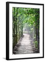 Path in the Woods-George Oze-Framed Photographic Print