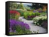 Path in Trentham Gardens-Clive Nichols-Framed Stretched Canvas