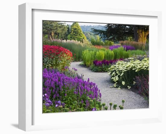 Path in Trentham Gardens-Clive Nichols-Framed Premium Photographic Print