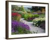 Path in Trentham Gardens-Clive Nichols-Framed Photographic Print