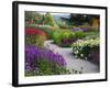 Path in Trentham Gardens-Clive Nichols-Framed Photographic Print