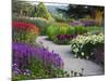 Path in Trentham Gardens-Clive Nichols-Mounted Photographic Print