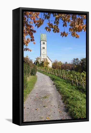 Path Leading Through Vineyards to a Church-Markus Lange-Framed Stretched Canvas