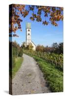 Path Leading Through Vineyards to a Church-Markus Lange-Stretched Canvas
