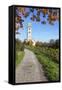 Path Leading Through Vineyards to a Church-Markus Lange-Framed Stretched Canvas