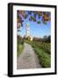 Path Leading Through Vineyards to a Church-Markus Lange-Framed Photographic Print