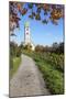 Path Leading Through Vineyards to a Church-Markus Lange-Mounted Photographic Print