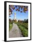 Path Leading Through Vineyards to a Church-Markus Lange-Framed Photographic Print