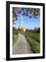 Path Leading Through Vineyards to a Church-Markus Lange-Framed Photographic Print