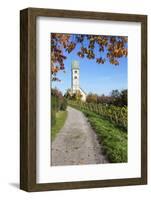 Path Leading Through Vineyards to a Church-Markus Lange-Framed Photographic Print